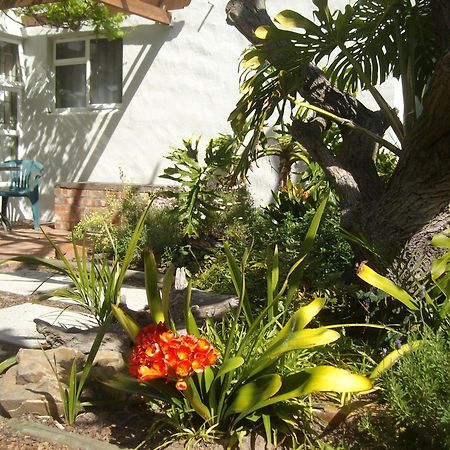 Be My Guest Lodge Bloubergstrand Cameră foto